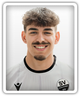 Nico Nollenberger