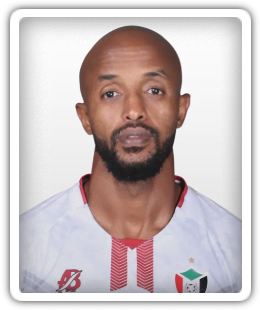 Salaheldin Adil