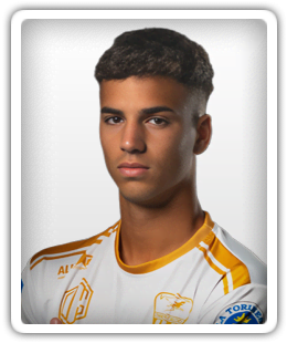 Lorenzo Viano