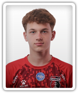 Yaroslav Druzhynin