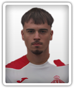 Boro Mišovic
