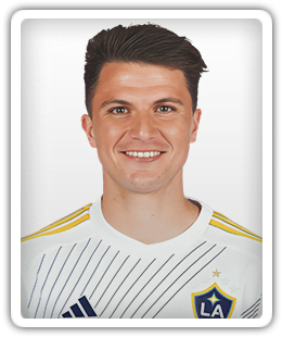 Gino Vivi
