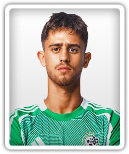 Tomer Lannes Arbel