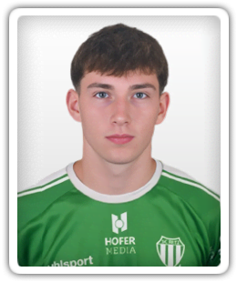 Nico Schmid
