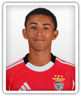 Bernardes