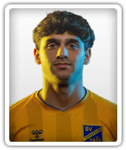 Yasin Varol