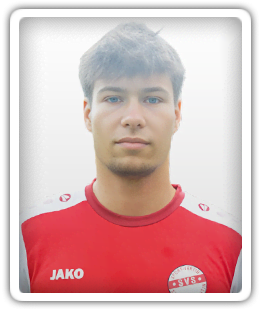 Carlos Hartig