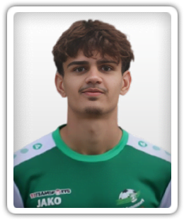 Emir Hamzic