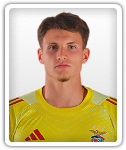 Arnas Voitinovicius