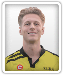 Michel van der Elst