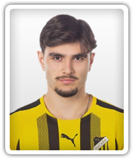 Nikola Mitrovic
