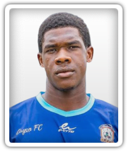 Mervin Lewis