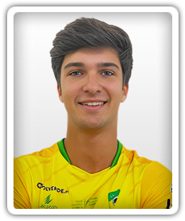 Afonso Rochinha