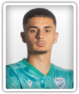Ermal Azemi