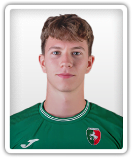 Luka Pucnik