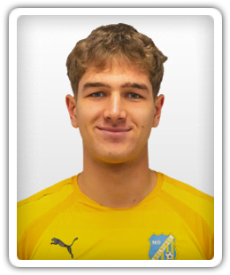 Niko Osterc
