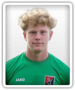 Timo Ulpins