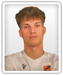 Luka Zavbi