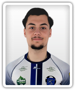 Anej Polak