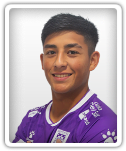 Mateo Toro
