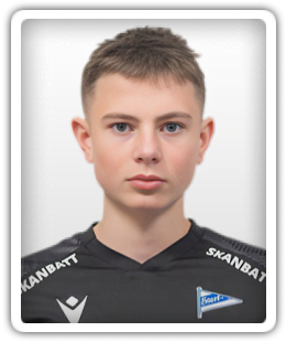 Henrik Haraldsen