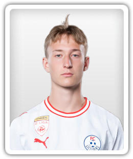 Jakob Werner