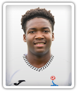 Andre Le Prince Chedjou Fonkou