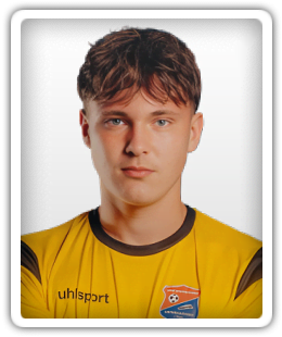 Vincent Huber