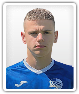 Vojislav Jokic
