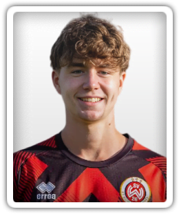 Milan Ludwig