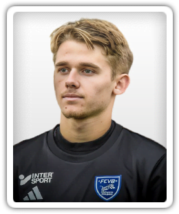 Maxime Merle