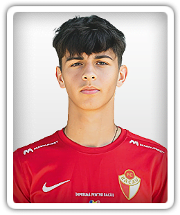 Mario Bordea