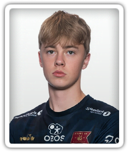 Niklas Fuglestad