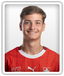 Ilija Despotovic