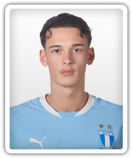 Tarik Karic