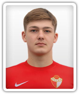 Alexandru Lungu