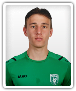 Dmitry Prokhorov
