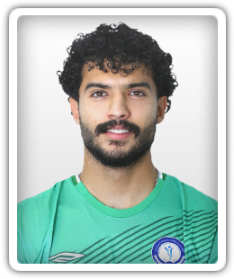 Mohammad Mehdi Aminirad