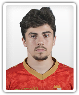 Dorde Skocajic