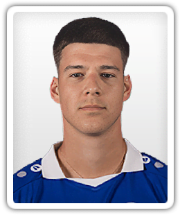 Luka Puzovic