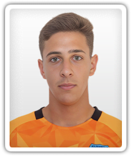 Mirko Stevanovic