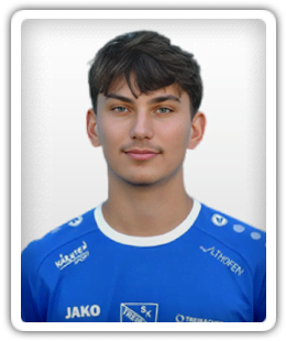 Nico Weitensfelder