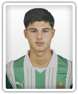 Armin Seraji