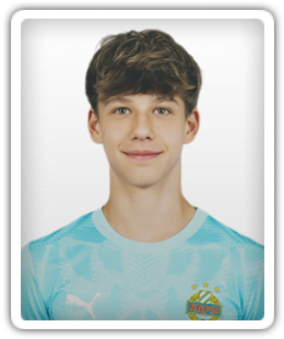 Dominik Hamann