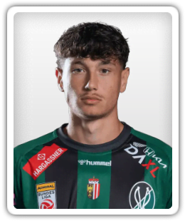 Alessandro Goiginger