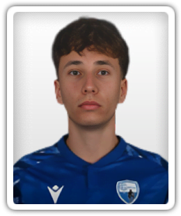 Luca Handl