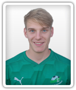 Niklas Feldinger
