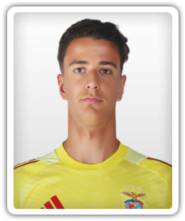 Pippo Gaidão