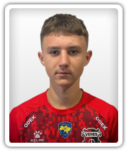 Vadym Domantovych