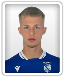 Haris Bicakcic